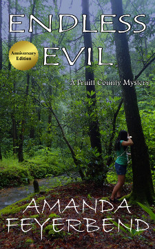 Endless Evil by Amanda Feyerbend