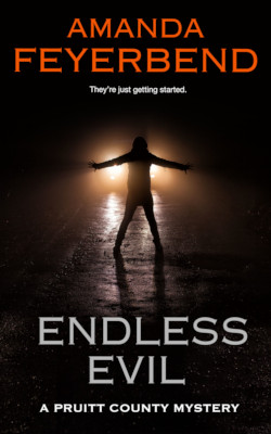Endless Evil by Amanda Feyerbend
